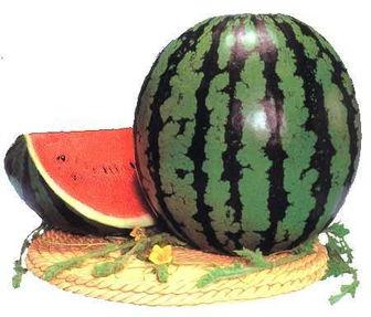 饭前吃瓜好吗,健康饮食的误区解析