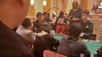 澳门赌场吃瓜群众,吃瓜群众的狂欢盛宴